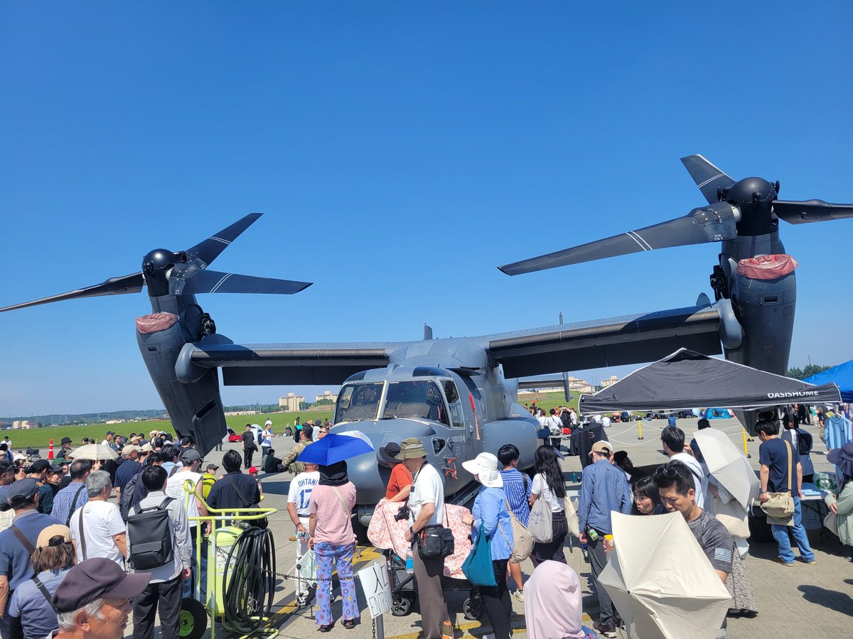 アニサキス tweet media