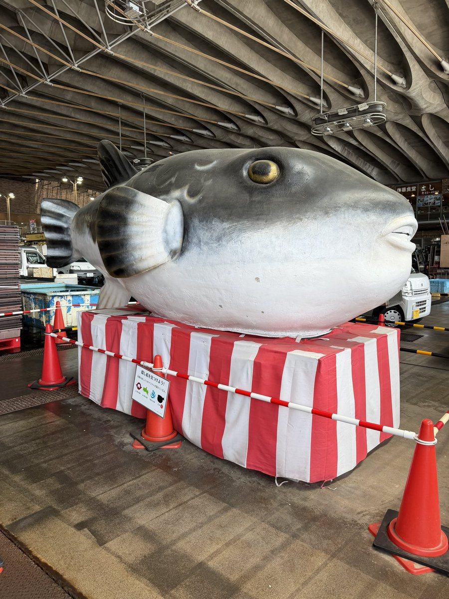 かつら_地域・観光プロモーション会社代表 tweet media