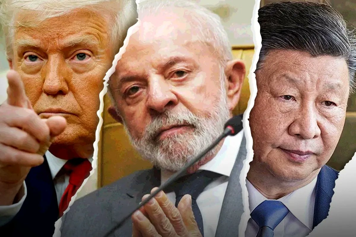 O Cafezinho 🇧🇷 tweet media
