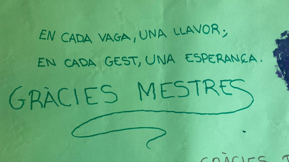 Pau Díaz 🔻 tweet media