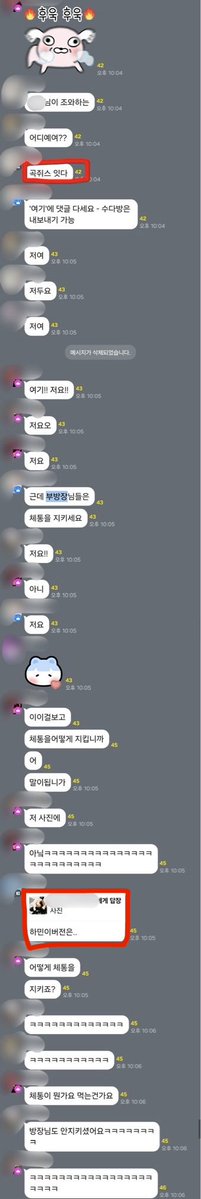 플ㄹㅔ이브 오픈카톡방 공론화 tweet media