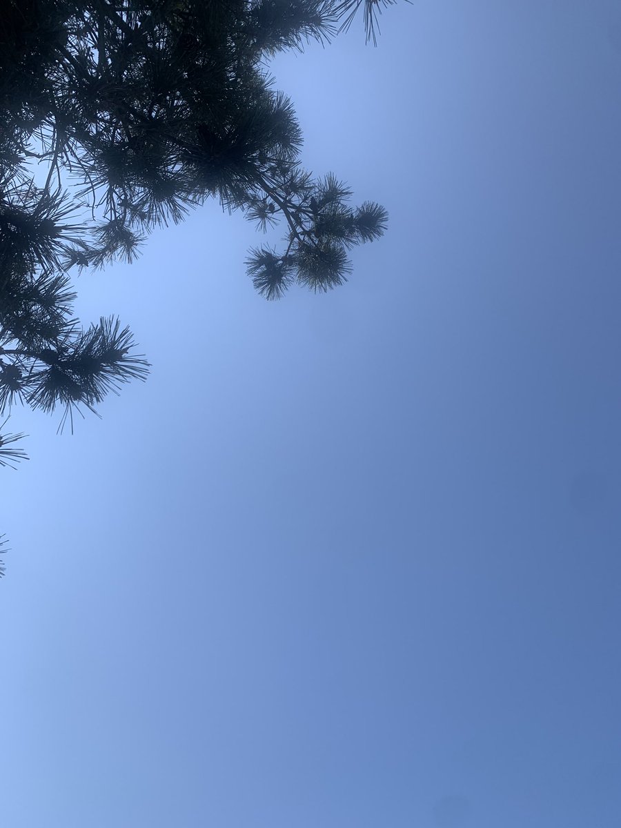 showastep's tweet photo. 今日も地球はGOKIGENですね😀

メリーは昨日、大事な用事があって日帰りで京都へ行ってきました。

帰り琵琶湖に寄りました。

夜の琵琶湖を歩くって初めてやったけど夜風が気持ち良かったです🥴

波動が���ち着きました。

知らない街を歩くって良いですな。

スマイル🫶感謝🙏幸あれ👐 https://t.co/x9D87L3GXR