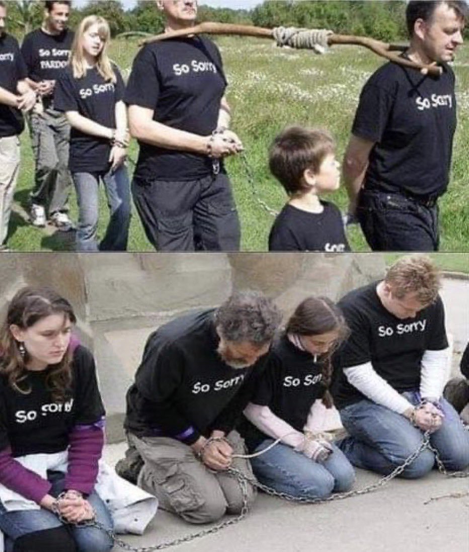 Anti Woke Memes tweet media