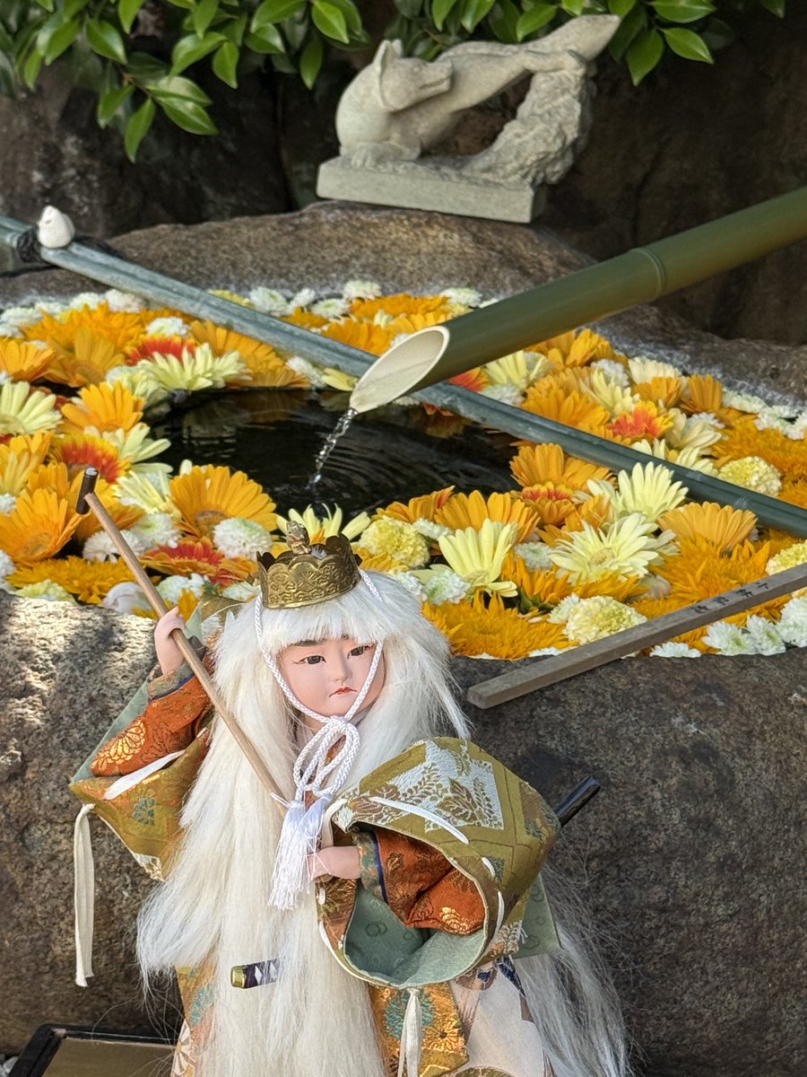 穴守稲荷のコンちゃん🦊【公式】 tweet media