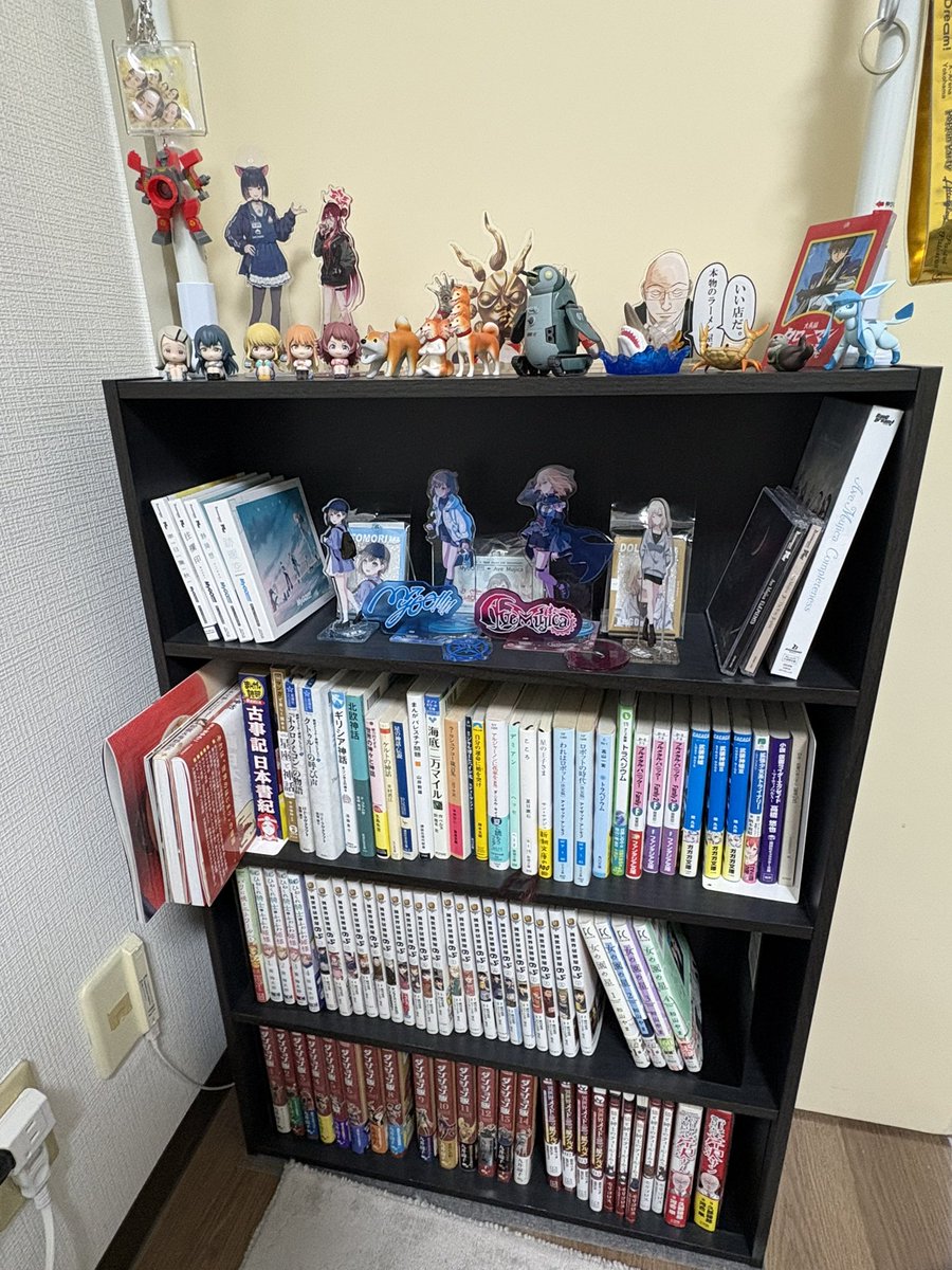 【決まりました】本棚×2 まさかの本棚2つ入りだったので 強制模様替えしてる