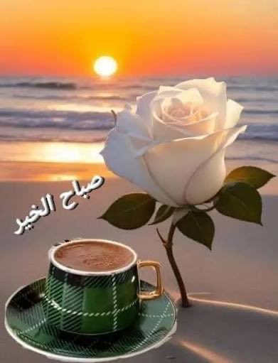 الزينة tweet media