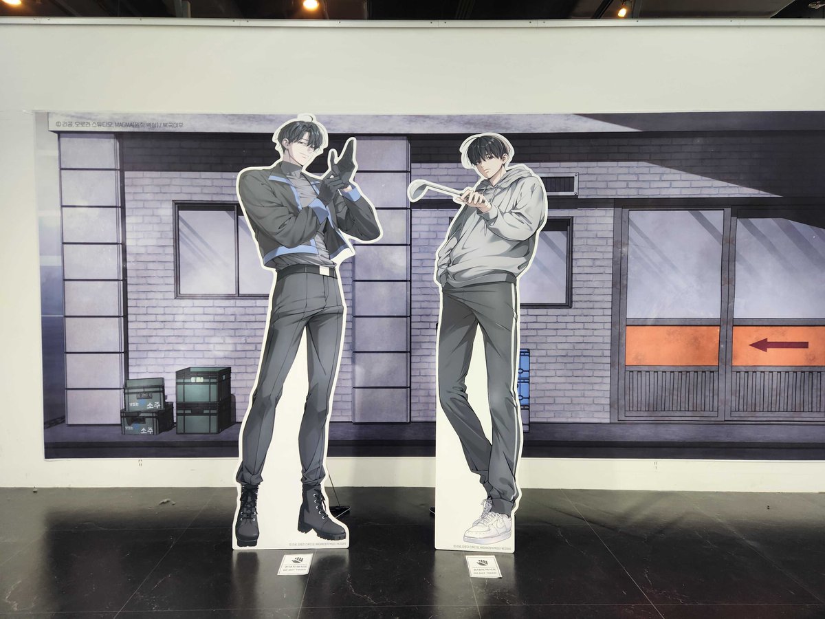 animate 서울홍대점 tweet media