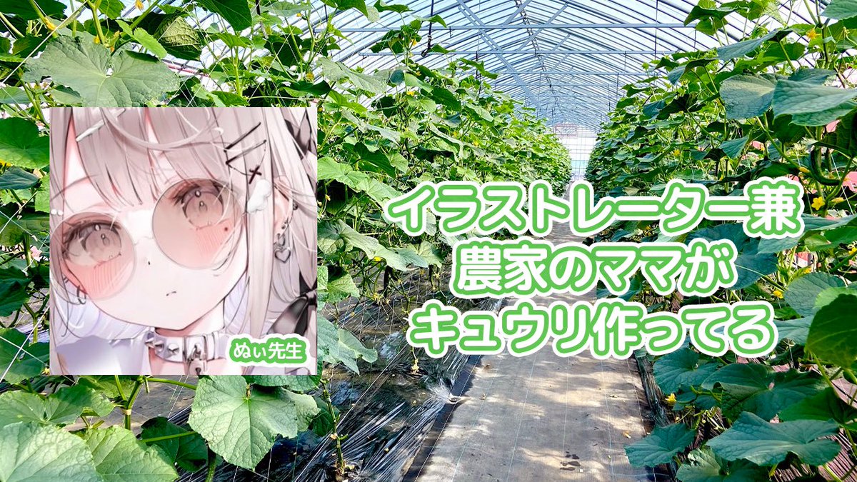 〇〇に来なさい？ キュウリを買いなさい🥒