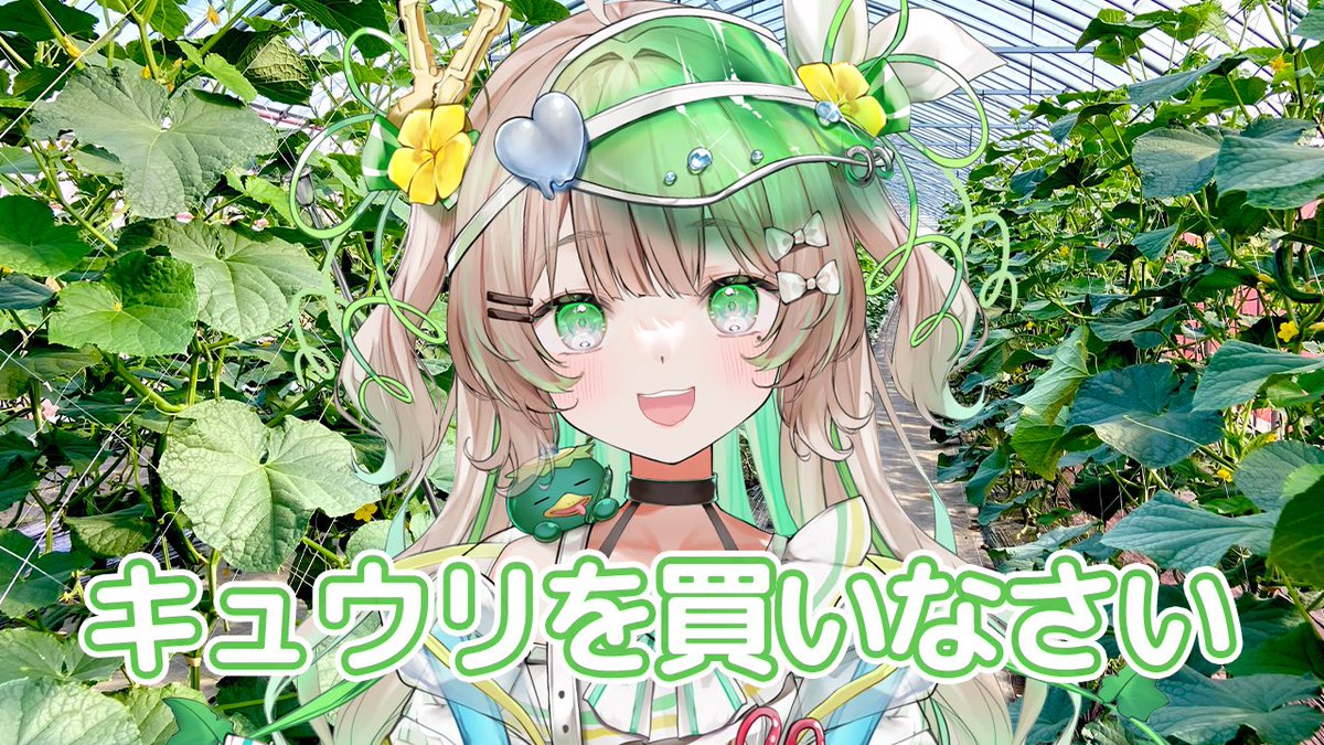 〇〇に来なさい？ キュウリを買いなさい🥒