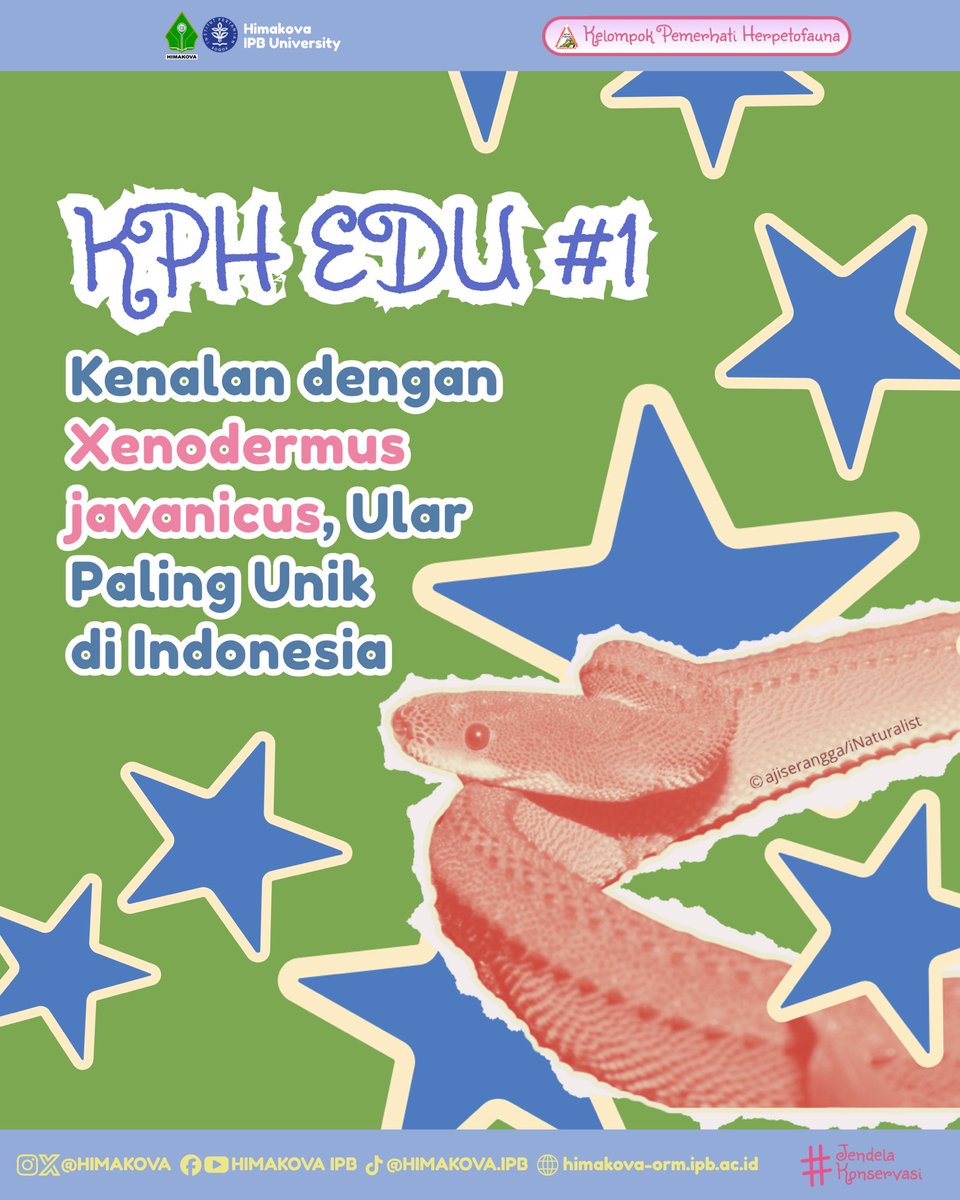 HIMAKOVA IPB tweet media