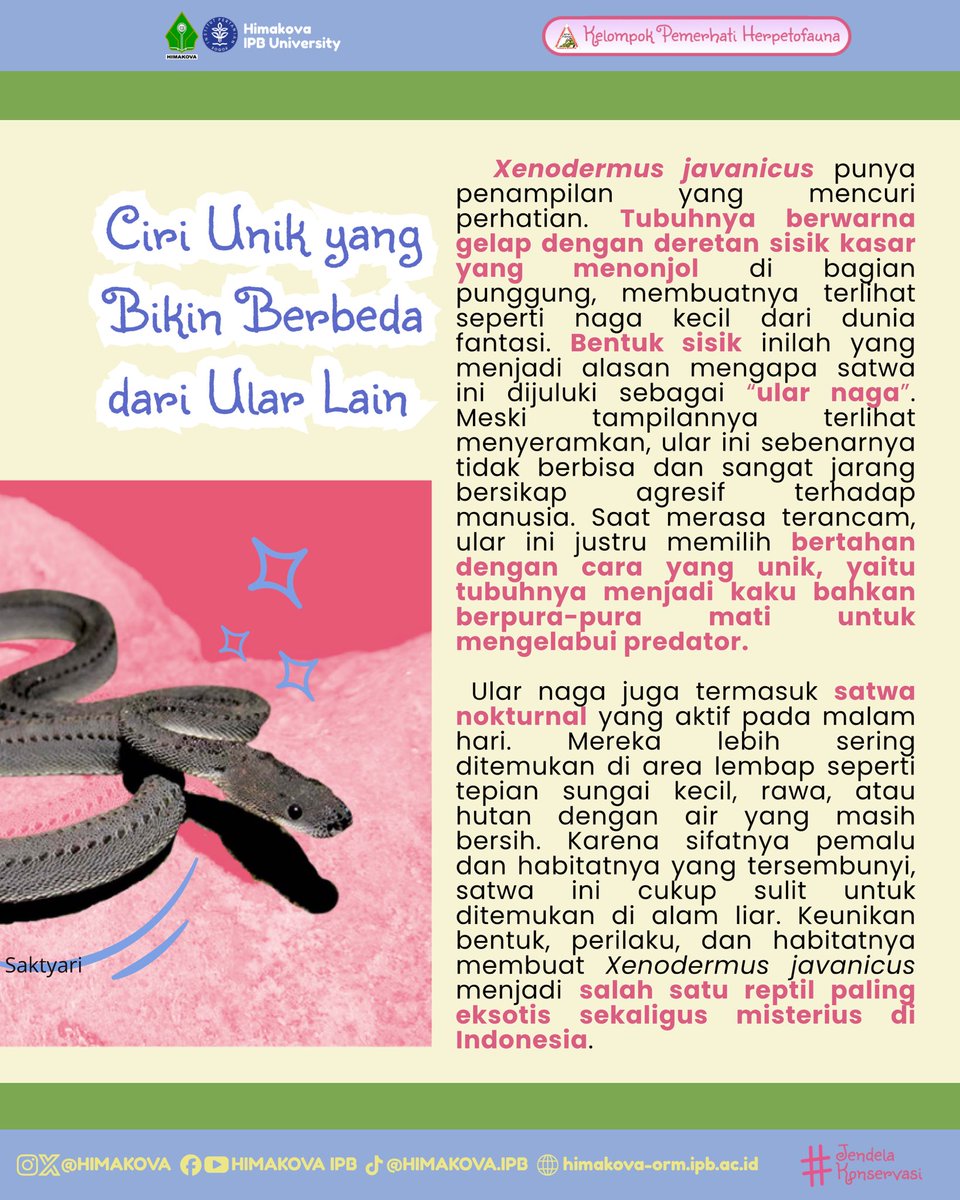 HIMAKOVA IPB tweet media