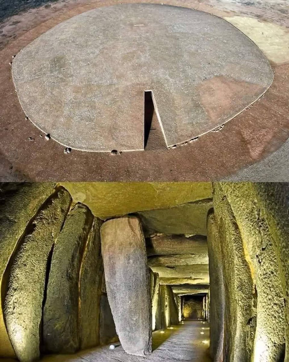 Unearthed 🏺 tweet media