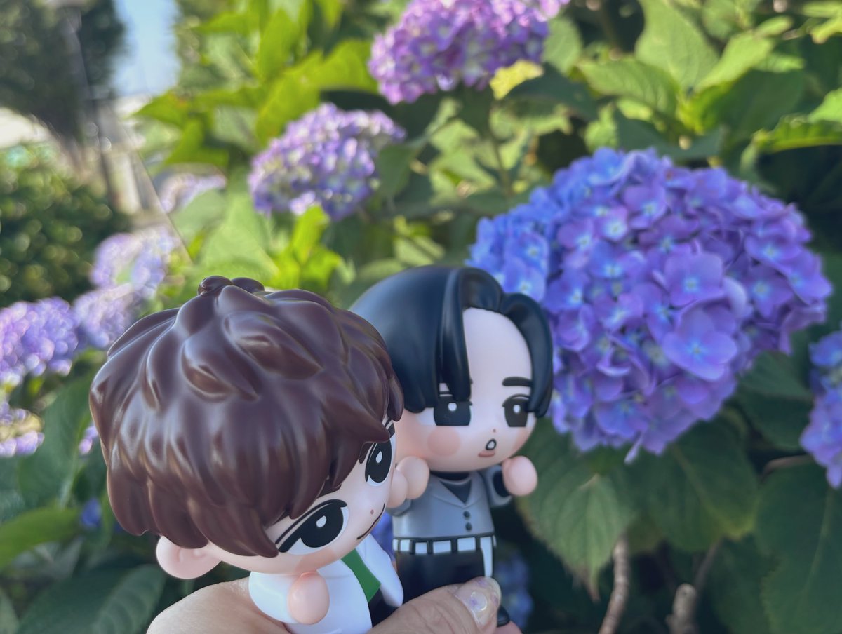 𝕞𝕖♡ tweet media