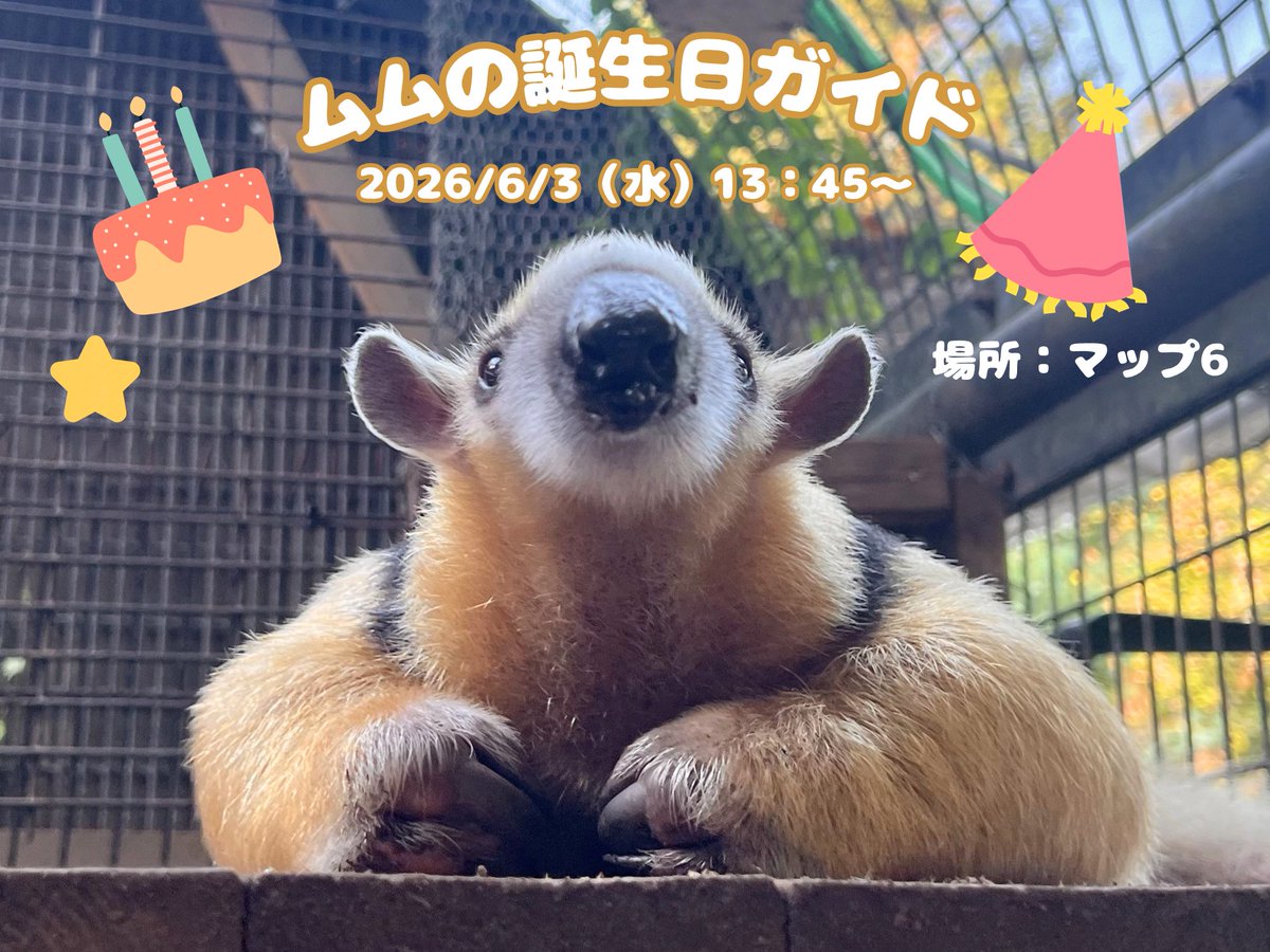 横浜市立野毛山動物園≪公式≫ tweet media