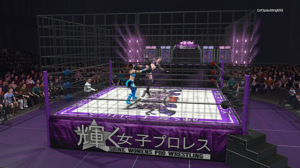 SelfMadeHatred's tweet photo. In between not being able to eat after having 7 teeth ripped out, I made the SHINE Heros vs Villains , Honor Road, Kaiju Clash and Sakura Gate arenas https://t.co/WI5VuNHik3