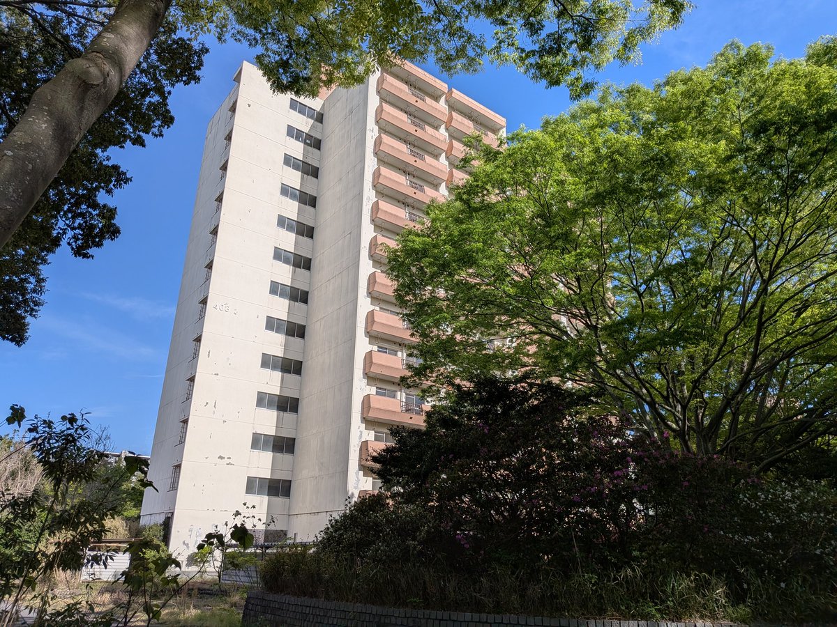東京ラムネ tweet media