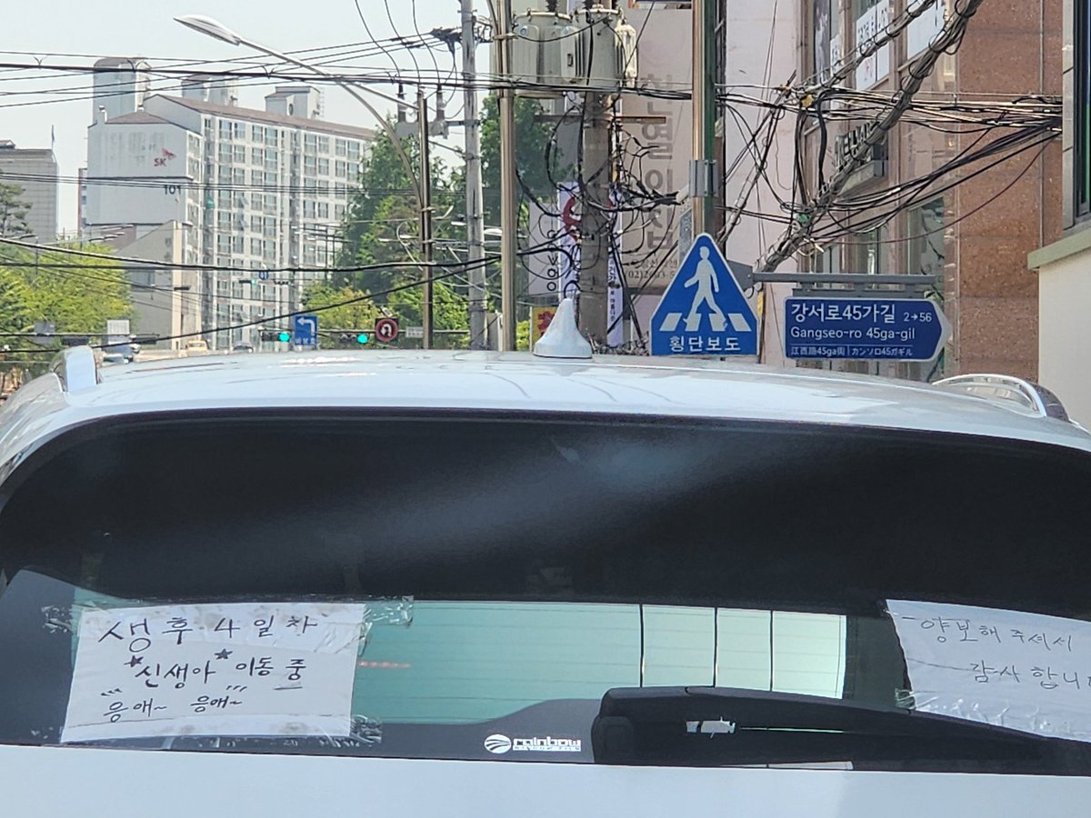 AkMa_Cat's tweet photo. 생후 4걔월도 아니구 4일차래 귀엽당..ㅎㅋㅋ https://t.co/sIh82H61H6