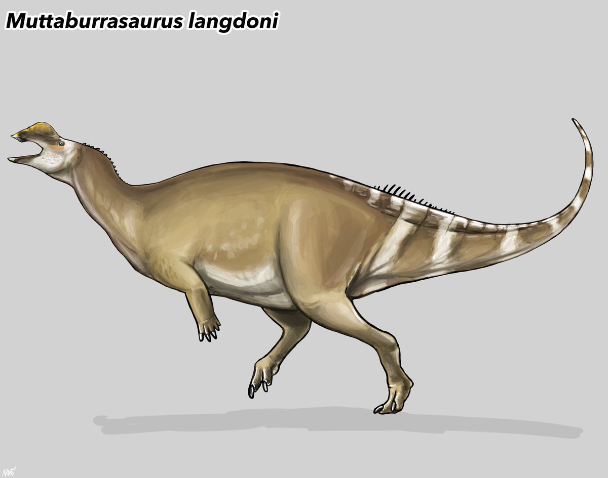 Armsaurus 😊💛🇹🇭 🎨🦖🦕 tweet media