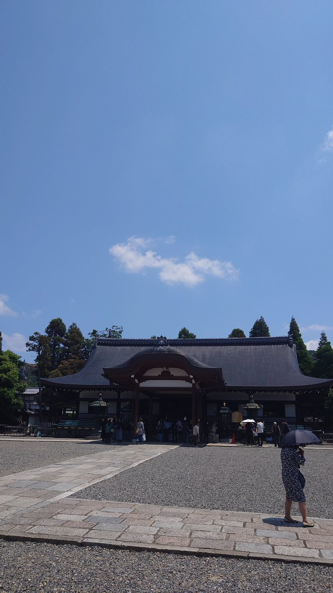 まりもっと tweet media