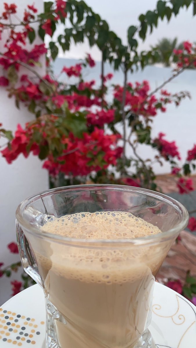 أمل البريكية tweet media