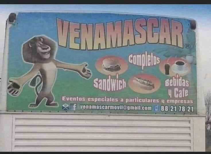 EL PERRO GAMER VE tweet media