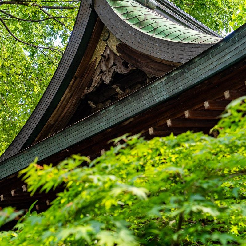 小野照崎神社 〜芸能・仕事・学問の神様〜｜東京・入谷 tweet media