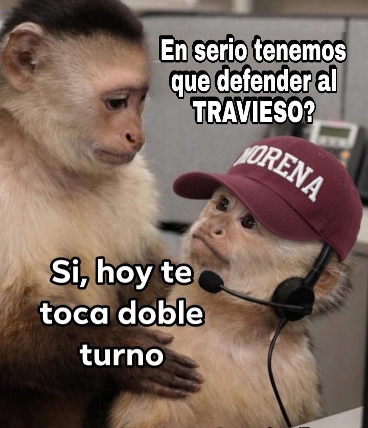 MoreNarcos tweet media