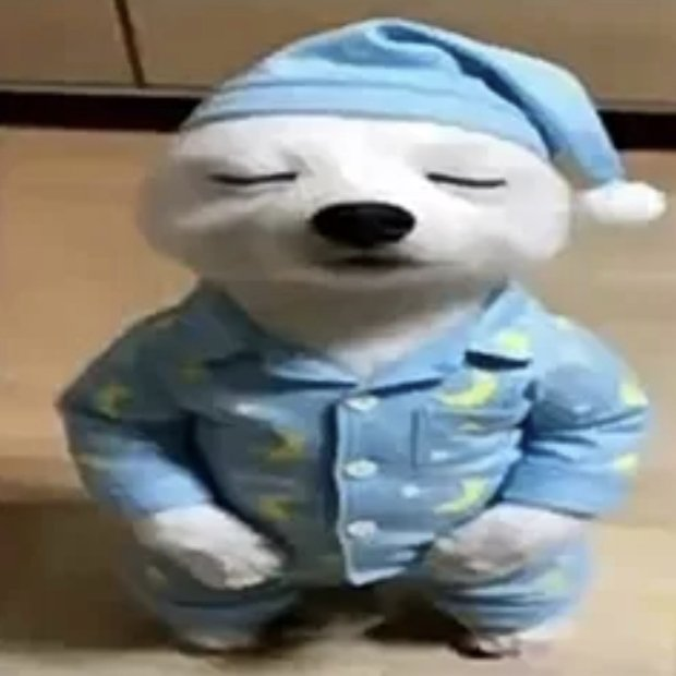 Cachorro777 tweet media