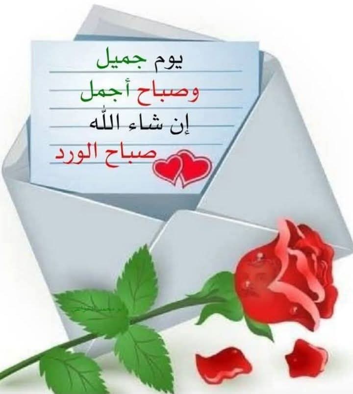 Adel salah tweet media