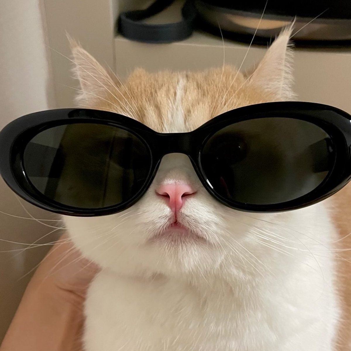 jaehyun. tweet media
