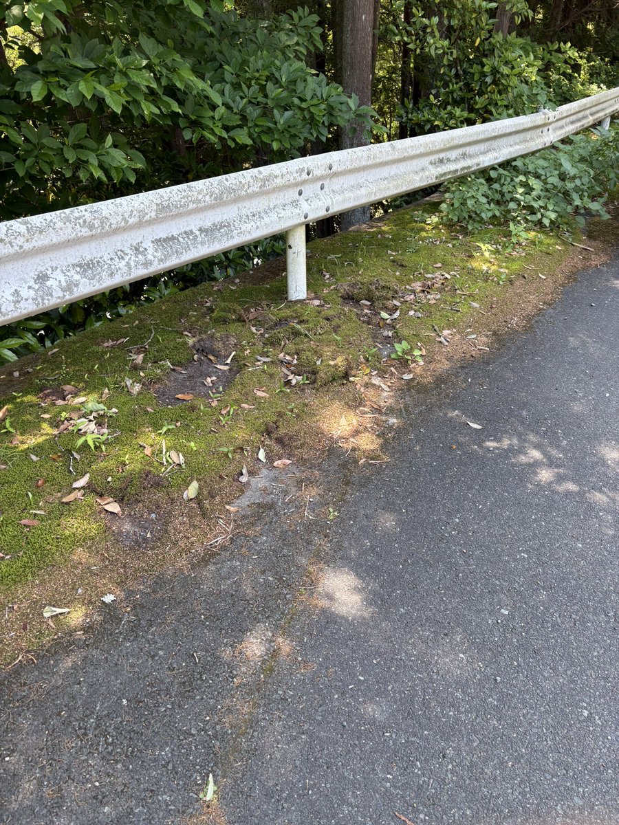 たる tweet media