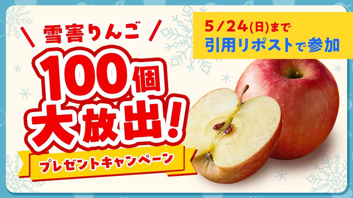 りんご品です。 キュンとする爽快な酸味りんご!!希少品種 極小サイズ】鎌田林檎園直送! その他