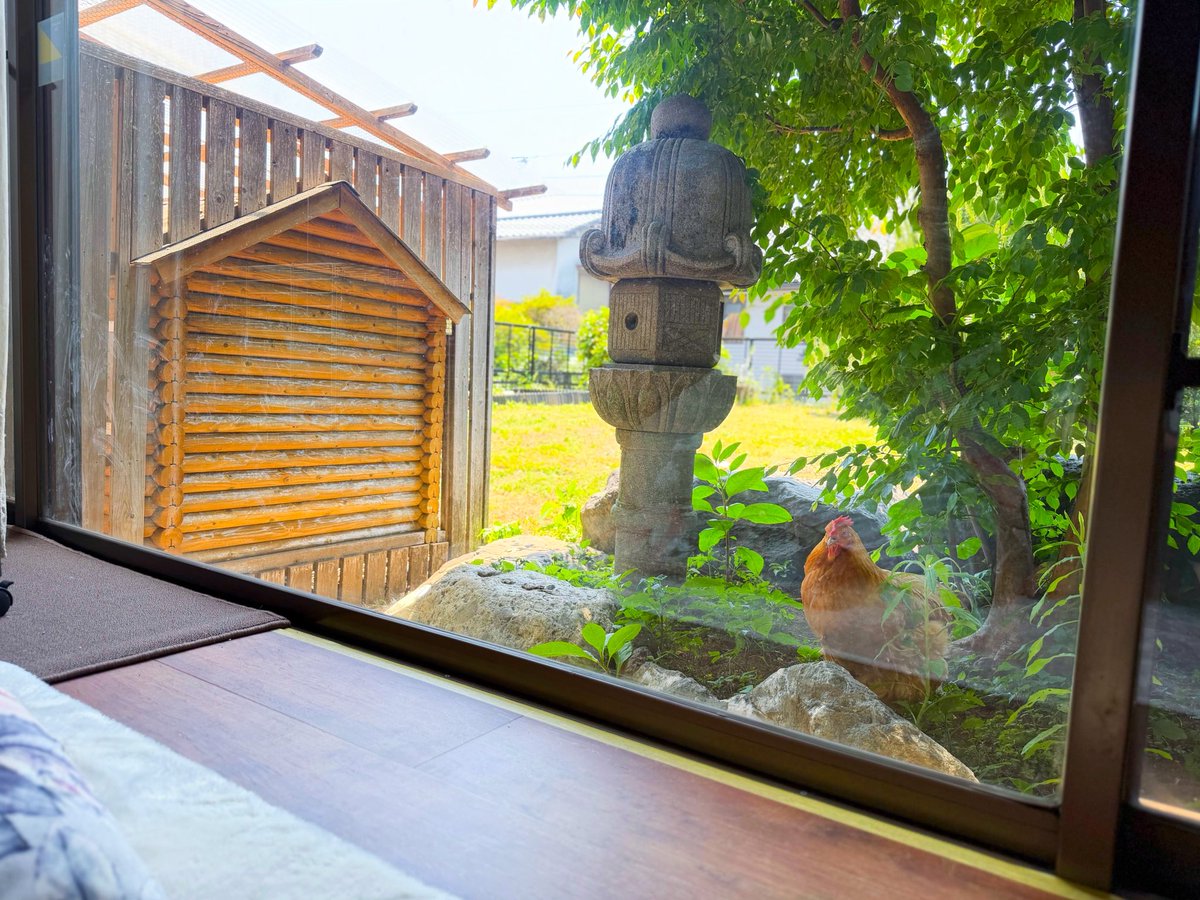 きなこ@針村🦔 tweet media