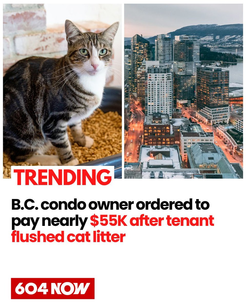 604 Now | Vancouver tweet media