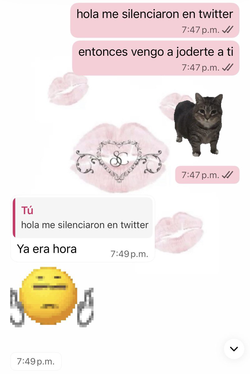 gaby tweet media