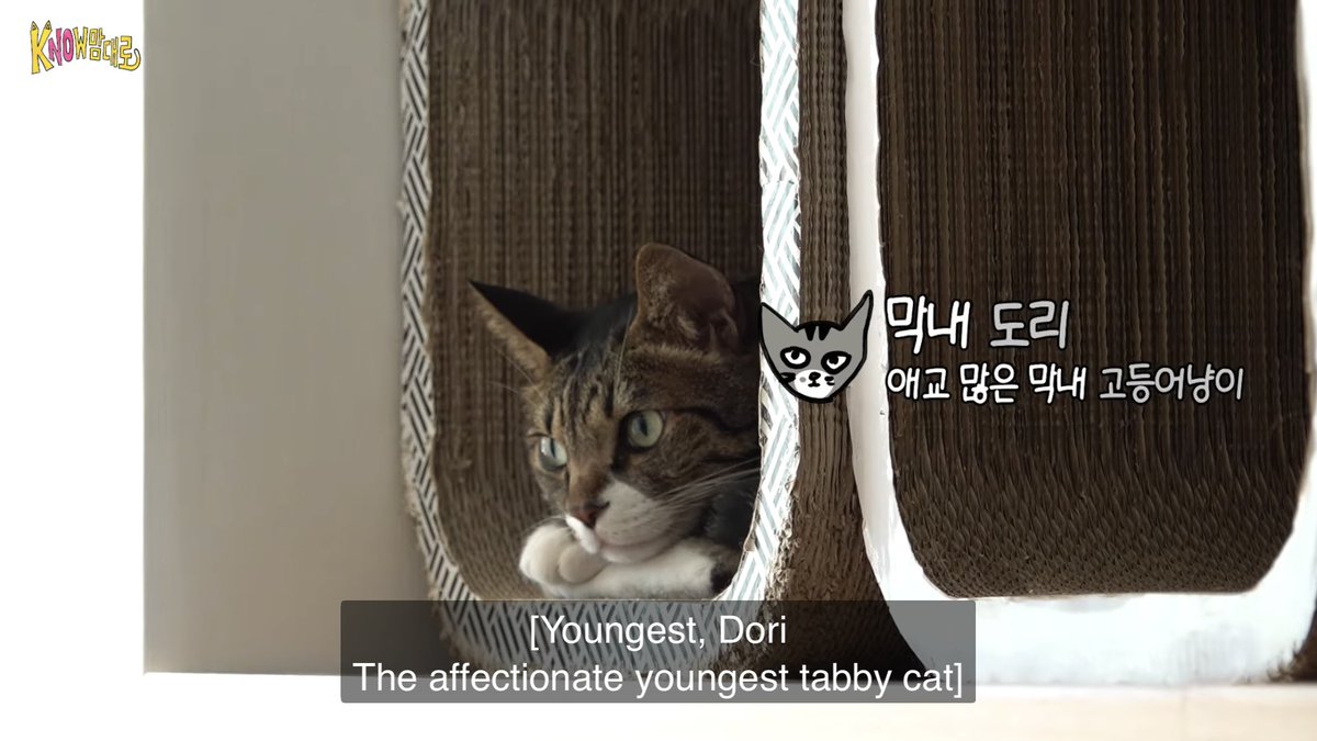 한랑이 tweet media