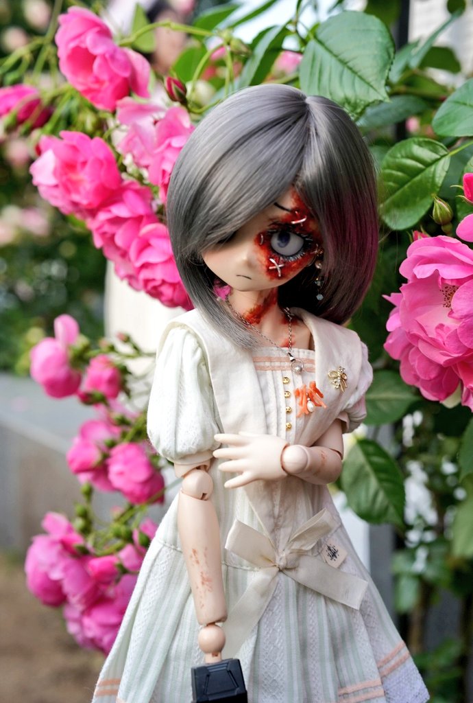 お昼休みに一枚だけドールの写真をはろう 幸薄子🌹