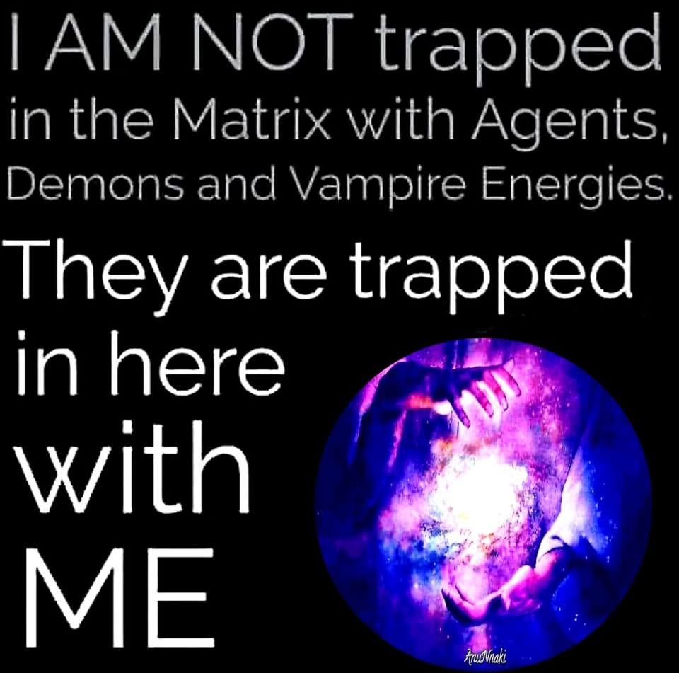 🧬Maxpein🧬 tweet media