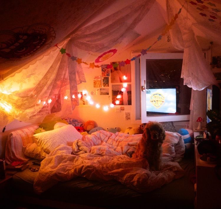 Cozy 🌱🌙 ₊✩‧₊˚౨ৎ˚₊✩‧₊ tweet media
