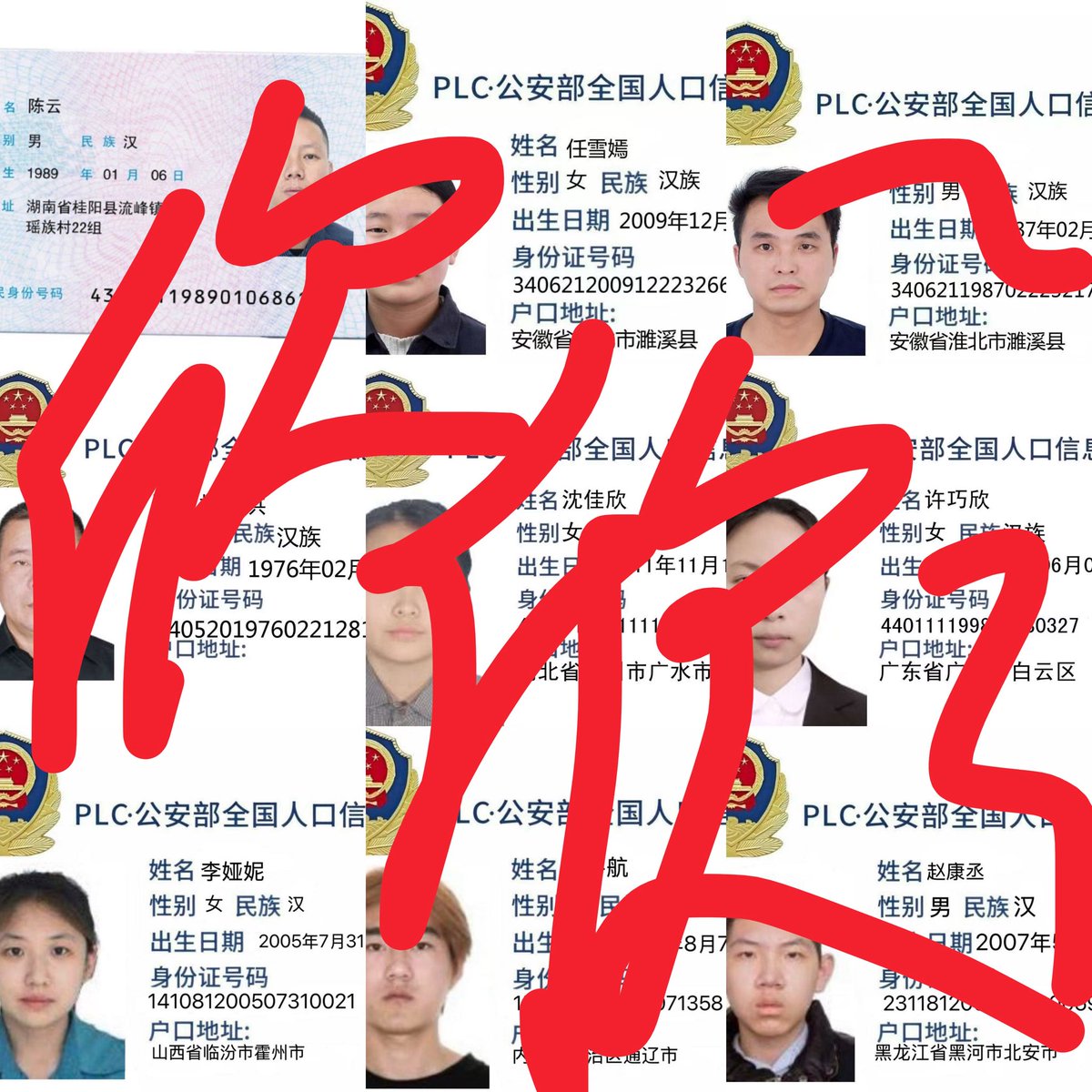 专业开户查一切 tweet media