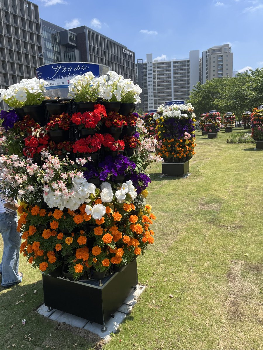こんにちは！ 今日は夏のような暑さですね😭 本日5/16～6/14まで開催