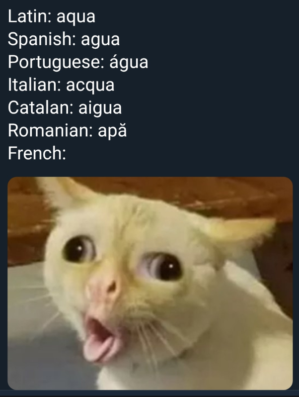 Spill The Memes tweet media