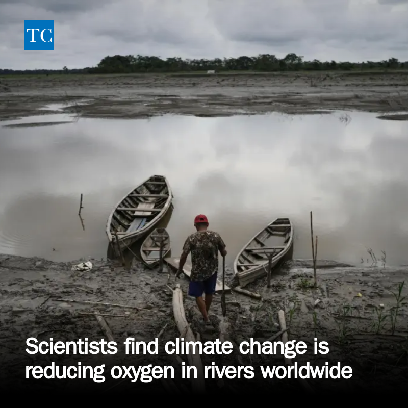 Longmont Times-Call tweet media