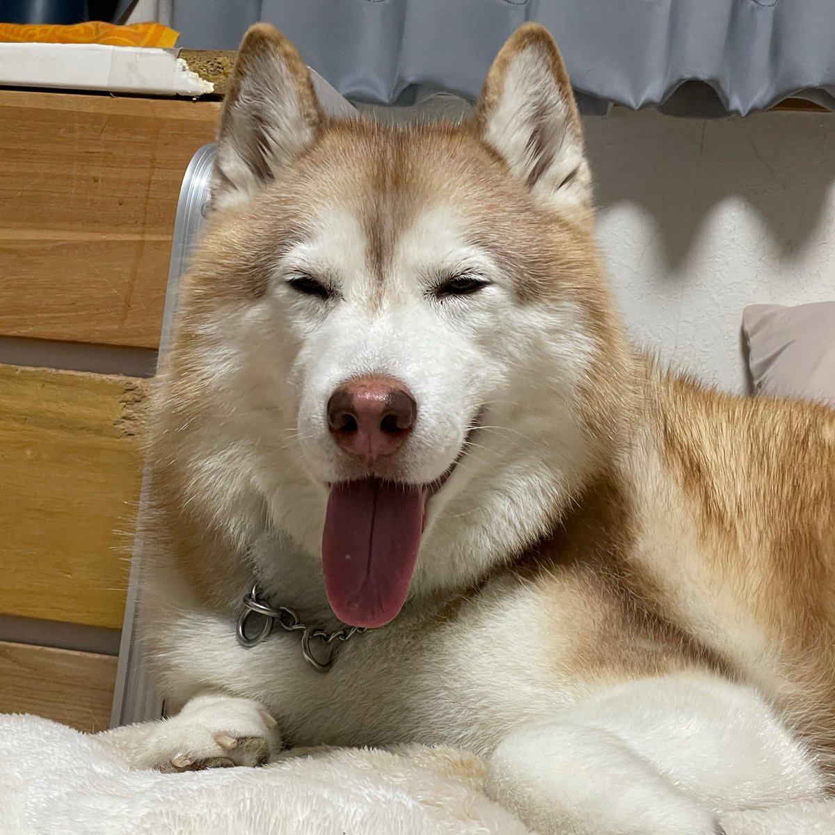 ハマジ (@xxhama2) / Posts / X