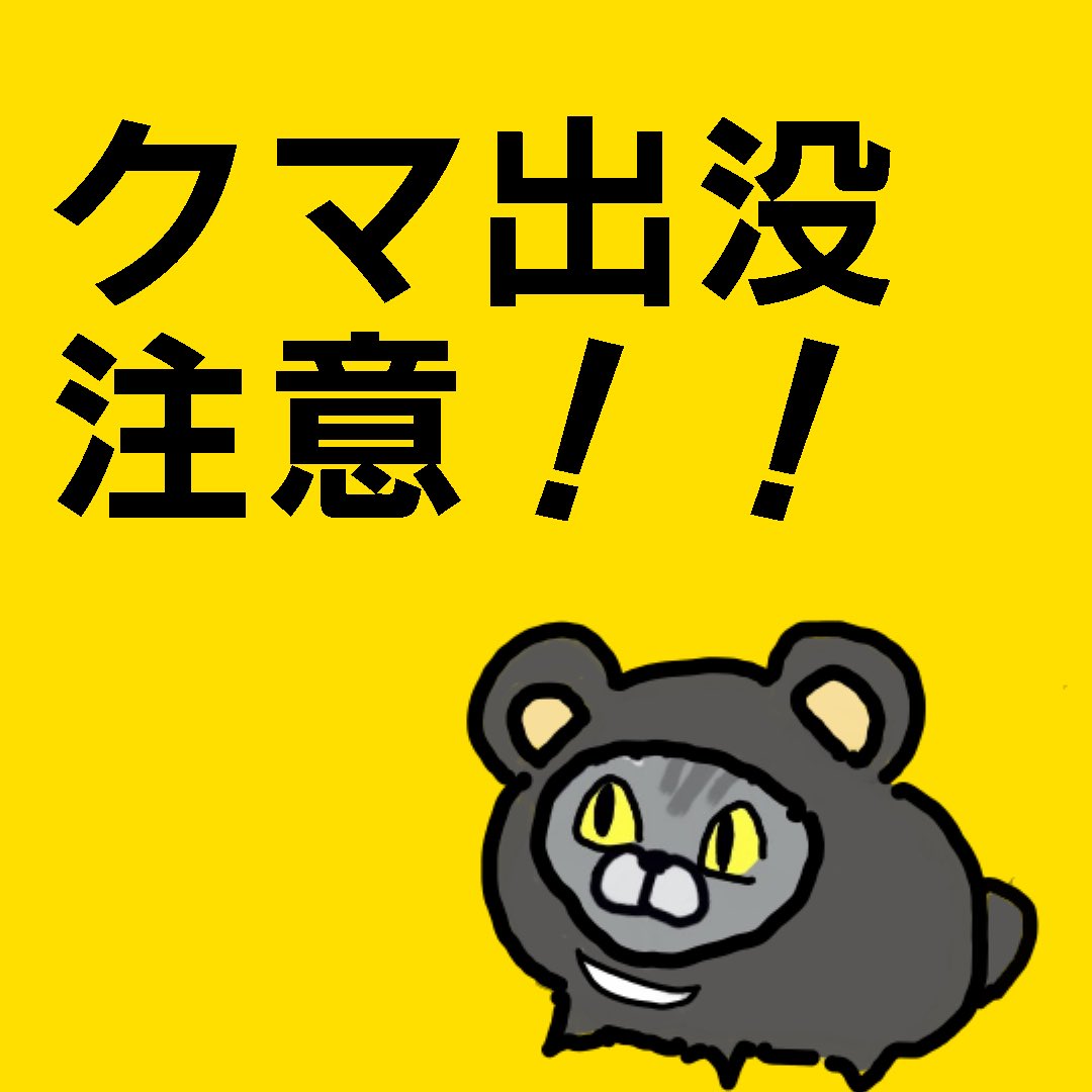 漫喫猫😺時々銭湯猫 tweet media