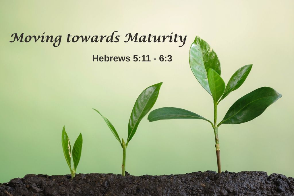 FBC_LansingMI's tweet photo. We're continuing our series "It's All About Him" on Sunday, May 17th @ 11:00 a.m. with "Mowing towards Maturity", Hebrews 5:11 - 6:3  Come worship with us.
#FBCLansing #pastormatthewalexander #ItsAllAboutHim #Hebrews5 https://t.co/r9SrM4b1Qu