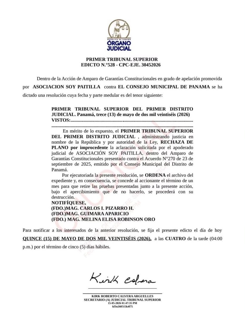 El Loro De Panamá Es Verde tweet media