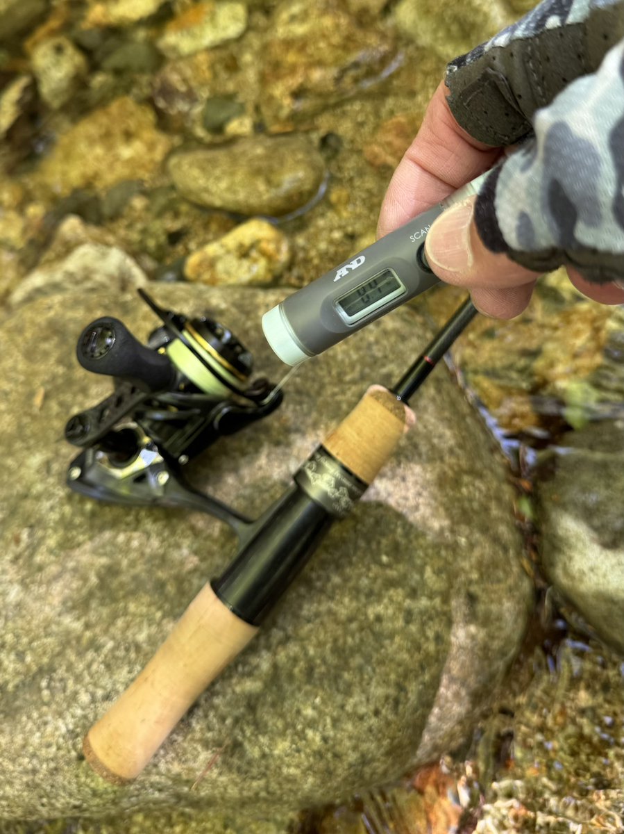 asdic603's tweet photo. ヲヂサンハヤマノナカ。

#渓流
#源流
#岩魚
#HARDSTREAMS
#山梨峡北漁協 https://t.co/PxxK2fkxv1