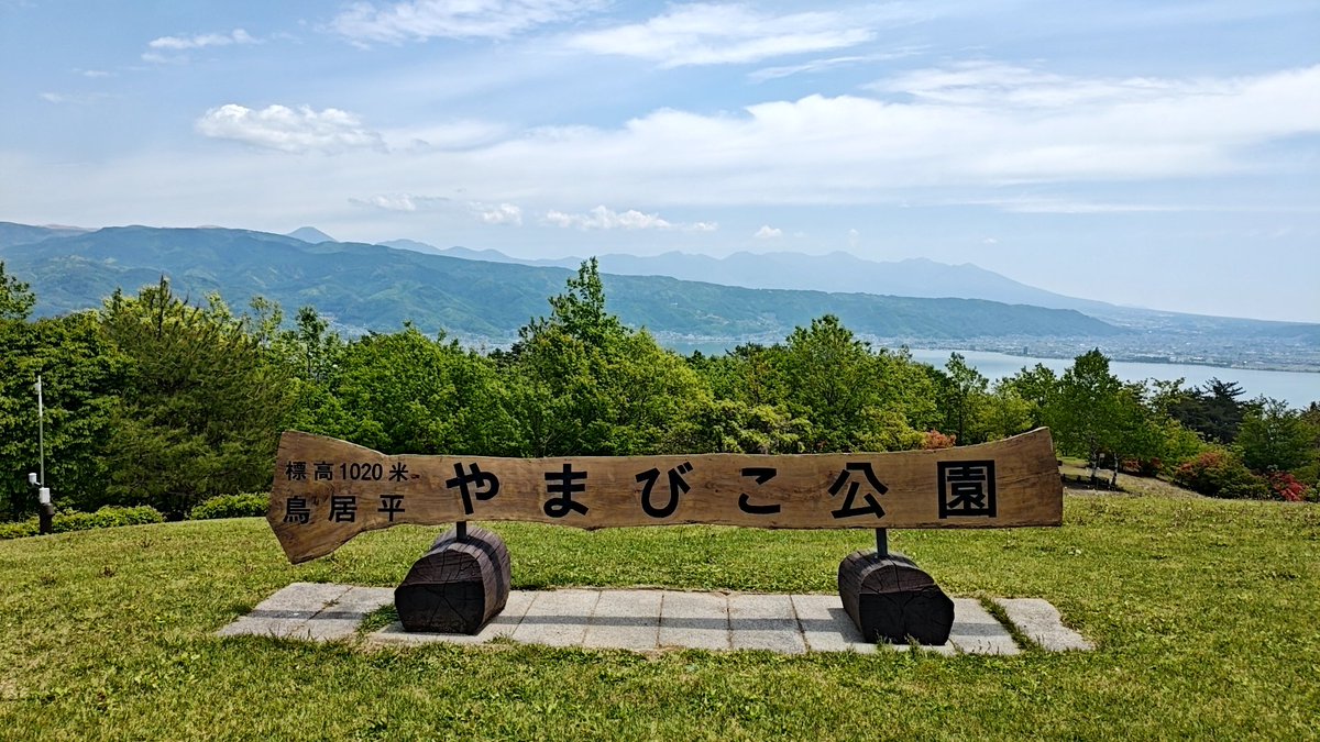 ミドTHボンバー tweet media