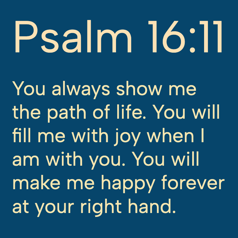 Daily Bible tweet media
